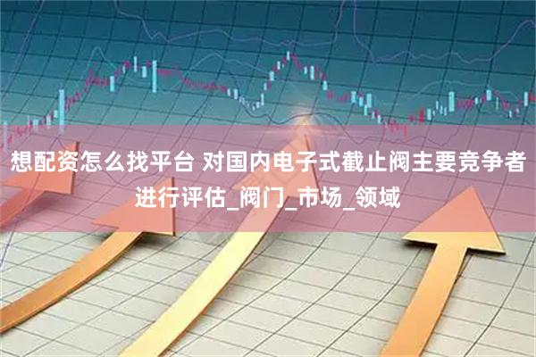 想配资怎么找平台 对国内电子式截止阀主要竞争者进行评估_阀门_市场_领域