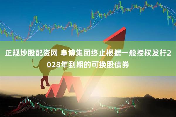 正规炒股配资网 阜博集团终止根据一般授权发行2028年到期的可换股债券