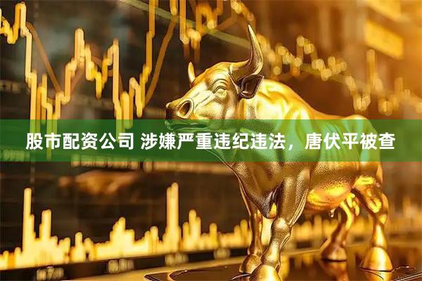 股市配资公司 涉嫌严重违纪违法，唐伏平被查