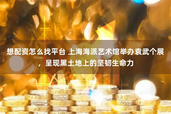 想配资怎么找平台 上海海派艺术馆举办袁武个展，呈现黑土地上的坚韧生命力